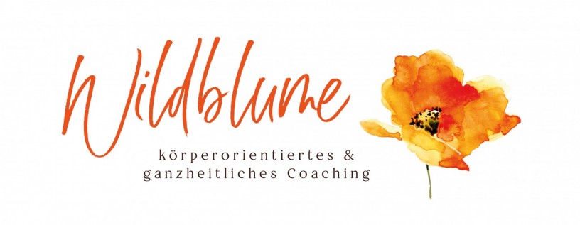 wildblume-ganzheitliches-korperorientiertes-coaching-big-0