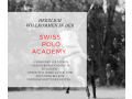 herzlich-willkommen-in-der-swiss-polo-academy-small-0