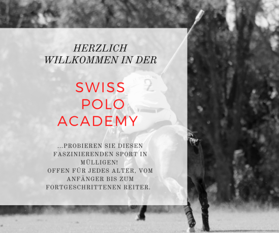 herzlich-willkommen-in-der-swiss-polo-academy-big-0