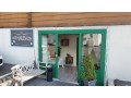 der-hundesalon-lehmann-small-0